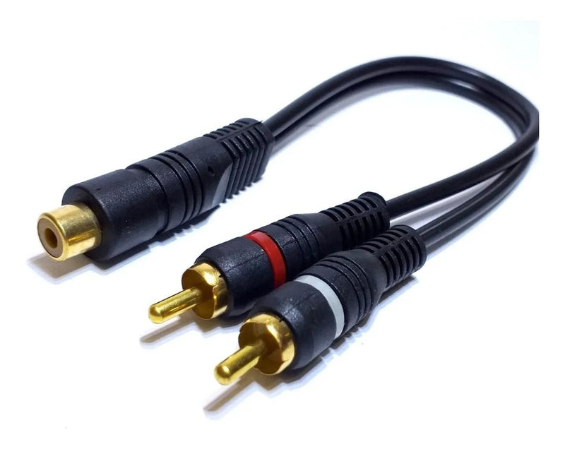 Cabo Y 2 Machos E 1 Fêmea