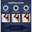 Ring Light 20cm/8inch LED